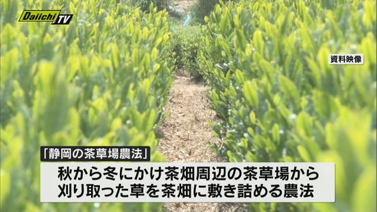世界農業遺産「静岡の茶草場農法」認定10周年　茶草場の維持や次世代への継承に課題も