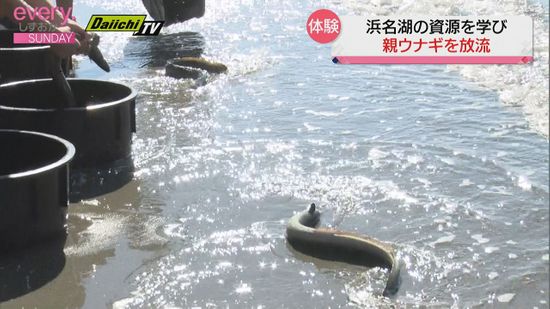 浜名湖の水産資源について学びウナギを放流する体験会【静岡】