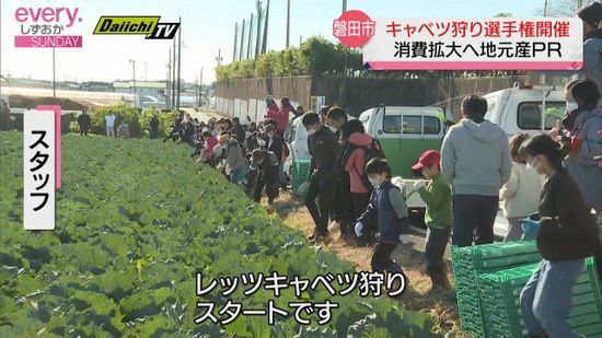 磐田市で栽培面積の増えているキャベツの消費拡大やPRイベント【静岡】