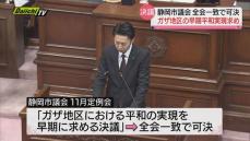 静岡市議会“ガザ平和”決議可決…「早期鎮静化と人道状況の改善」求める