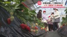 【収穫の喜び】小学生がイチゴ農家の仕事を体験（静岡・下田市）