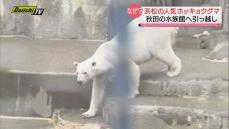 【なぜ】浜松市動物園の人気ホッキョクグマが秋田の水族館に引っ越しへ…その訳とは？