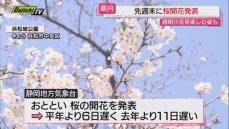 静岡では先週末に桜開花発表…週明けから花見を楽しむ姿も（浜松市）