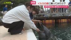 イルカに学ぶ？「良い歯の日」水族館で勉強会（静岡・下田市）