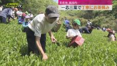 高級茶葉の産地両河内で小中学生たちが茶摘み作業（静岡市）