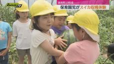 園児たちが特産のスイカ収穫体験（静岡・函南町）