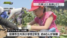 食育で小学生たちがサツマイモのつる挿し体験（静岡・沼津市）