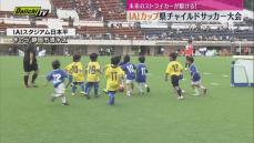 未来のストライカーが勢揃い！　IAIカップ　静岡県チャイルドサッカー大会in日本平　46チーム参加（静岡市清水区）