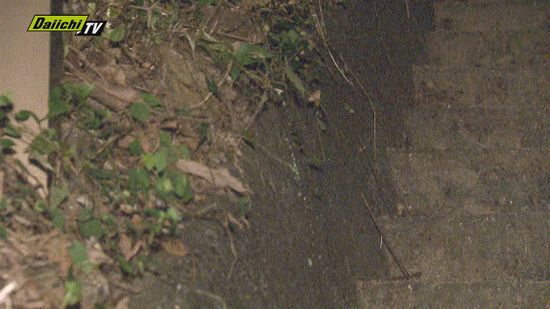 神社から人骨とみられる骨見つかる（静岡）