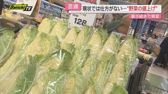 【猛暑爪痕】野菜育成にも深刻な影響…発芽不調や成長遅れにコスト上昇の追い打ちが末端の食卓まで波及(静岡)