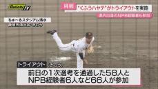 【プロ野球】ウエスタン･リーグ｢くふうハヤテ｣週末トライアウトに１次選考通過の６６人が参加(静岡)