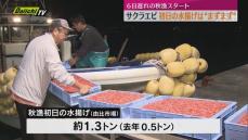 【駿河湾特産】サクラエビ秋漁　由比港での初日の水揚げ量は1.3トン　前年を上回る（静岡市清水区）