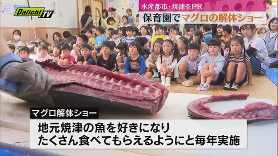 水産都市・焼津をPR　保育園でマグロの解体ショー　園児たち「おいしそう！」（静岡・焼津市）