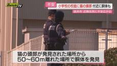 【不安】小学校敷地に“猫の頭部”人為性不明も地元緊迫…警察は動物愛護法違反など視野に捜査と警戒(静岡･袋井市)