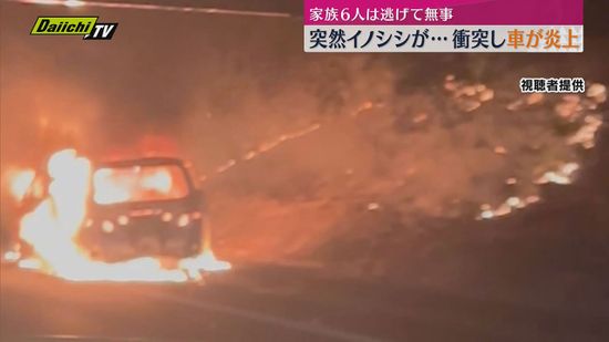 【新東名】高速道路で車がイノシシに衝突し炎上…乗っていた家族は無事逃げ出す（静岡・藤枝市）