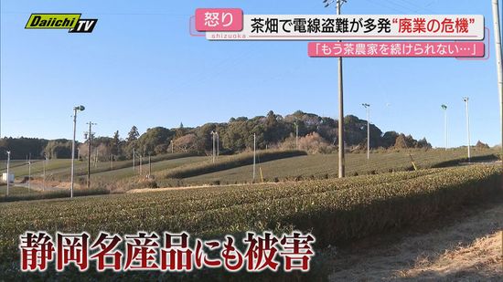 【深刻】全国で金属製品盗難多発する中…県内では茶畑の電線が盗まれ危機的状況の茶農家も（静岡）