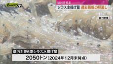 記録的不漁　静岡県特産のシラス漁で水揚げ量が過去最低更新の見通し