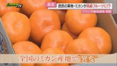 【冬の定番果物に異変】静岡のみならず全国の産地で今季ミカンの価格が高騰…一体何が起きているのか？