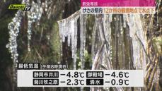 5日県内各地では12の観測地点で氷点下を記録（静岡）