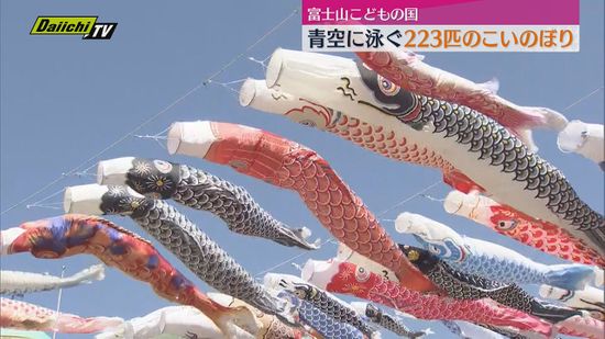 富士山こどもの国】晴天を泳ぐ223匹の鯉のぼりが子ども達に人気（静岡