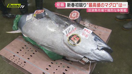 2026年】魚市場で初競り…目玉の青森・大間産の“一番マグロ”を競り