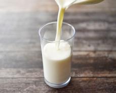 牛乳乳製品の日常的な摂取で骨の健康アップ 雪印メグミルクが研究成果