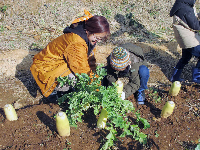 ピエトロ自社農場で「野菜塾」 児童ら収穫・調理体験 不揃い品をおいしく