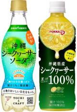 「ちむどんどん」暢子もかじったシークヮーサー　自社で搾汁して飲料全国発売　ポッカサッポロと沖縄の深い関係とは？
