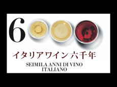イタリアワイン試飲商談会「BORSA VINI ITALIANI 2022」 10月3日大阪、5～6日東京で
