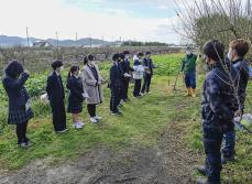 「三ツ矢日本くだものがたり」始動　農家の取り組みを知ってもらう地域共創　第1弾は和歌山県・南高梅