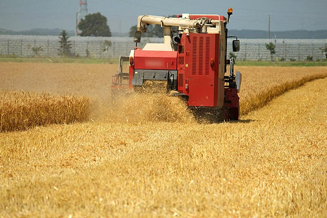 ４月期輸入麦価 ５・８％の引き上げ  激変緩和措置で上昇幅を抑制