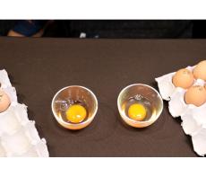 アレルギー低減卵の安全性 世界で初めて確認 広島大学とキユーピー