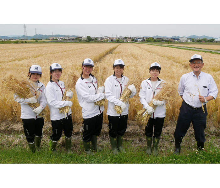 兵庫・社高の生徒が収穫 マルヤナギ・柳本社長「もち麦推進に効果」