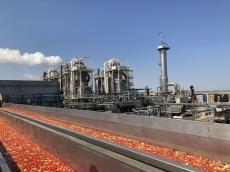 カゴメ 世界4位の米社子会社化 トマト加工で海外戦略加速