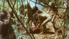 人間が人間を喰う、阿鼻叫喚の地獄絵図。映画史上最大の問題作『食人族』はなぜ40年ぶりに公開されたのか？