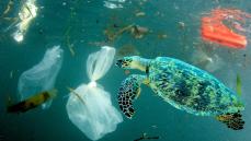 何故プラスチックゴミが海に流失するのか。では埋めればいいのか？焼却すればいいのか？ 廃プラスチックのもっとも「サステナブル」な処分方法とは