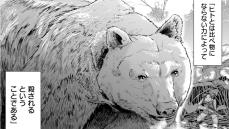 【漫画あり】「いきなり出くわしたらヒトとは比べものにならない力で殺される」狩りバカが過ぎた一人のクマ撃ち女性の奮闘