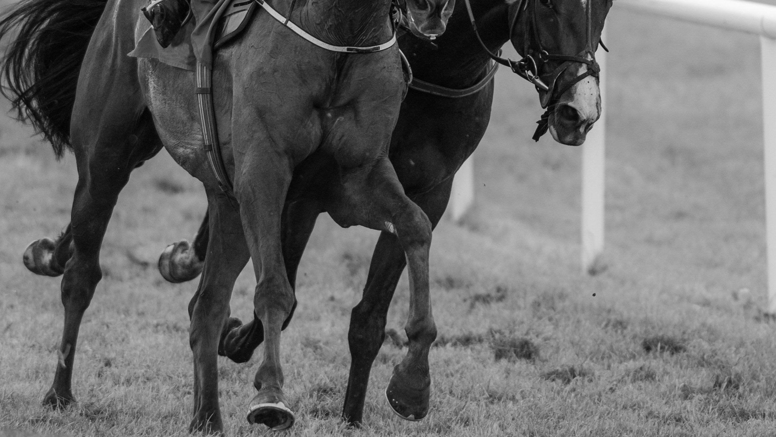 ナリタブライアンVSビワハヤヒデ」の兄弟対決がもしも実現していたら