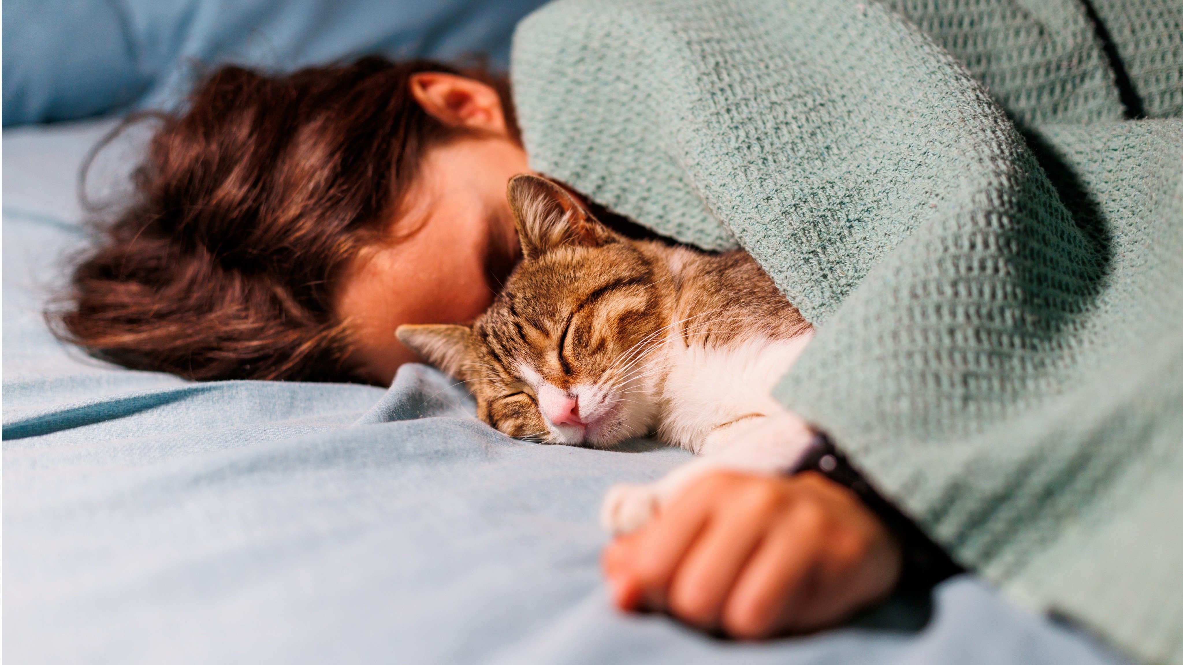 「寝てない人は太る！」「気づかないうちにミスが増え…」日本人が知らない睡眠不足の本当の怖さ。重病のリスクも増