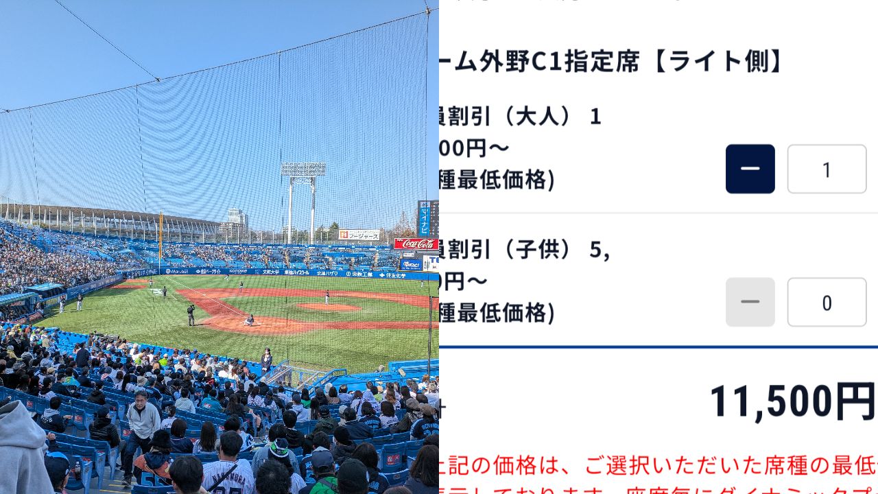 外野席でも1万円超〉高額化が止まらないプロ野球チケット…球団は