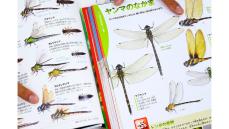 2800種の昆虫を生きたまま撮り下ろし！ 「昆虫図鑑」製作者の執念