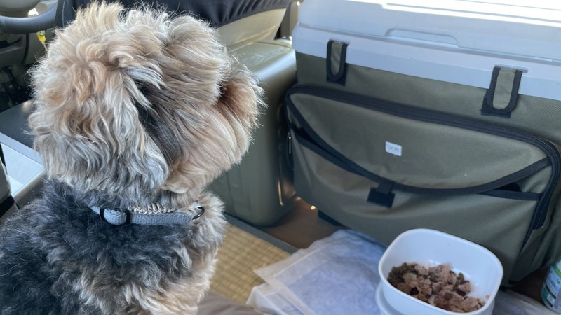 みちのく車中泊の旅で最大の失敗は、犬を連れてきたことだった