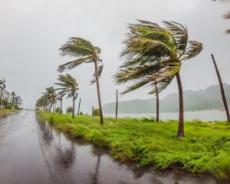 夏休みの“沖縄家族旅行”が台風で中止に…「地獄の空気」を切り抜けた父親の“機転”とは？