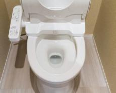 夜の店のトイレでは珍事件が多発。扉を開けると新人スナック嬢が…――仰天ニュース傑作選