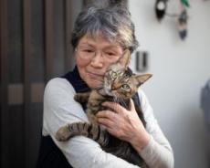 「1万円渡すから黙ってて」“ペット禁止の部屋で猫を飼う”60代女性が隣人…大家にバレて暴力沙汰に