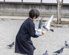 「ベランダで鳩に餌付けをする」50代女性の隣人が見せた、常識破りの迷惑行為…「うちのベランダに米粒を撒いていたんです」