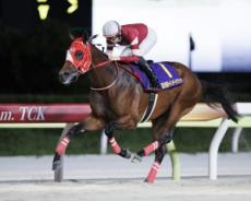 「東京新聞杯の注目馬」を競馬の達人が解説。“歴代最強”の呼び声高い4歳馬は