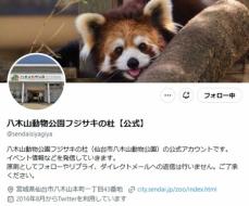 驚きの吸引力！八木山動物公園でスイカを食べるゾウの姿に「凄い」「どうやって受け取るのかと…」の声