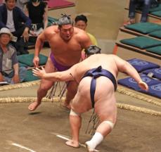 十両・尊富士が4連勝　友風のはたきを警戒して冷静な対応「もともと連勝とか考えていない」