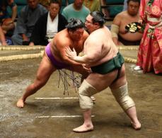 十両・尊富士が5連勝！敗れたことのある白鷹山を圧倒　「365日食べている」ヨーグルトで体調管理